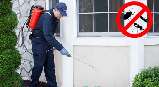 Karayazı Bit İlaçlama böcek ilaçlama ve haşere kontrolü — ilaclama-tr.com